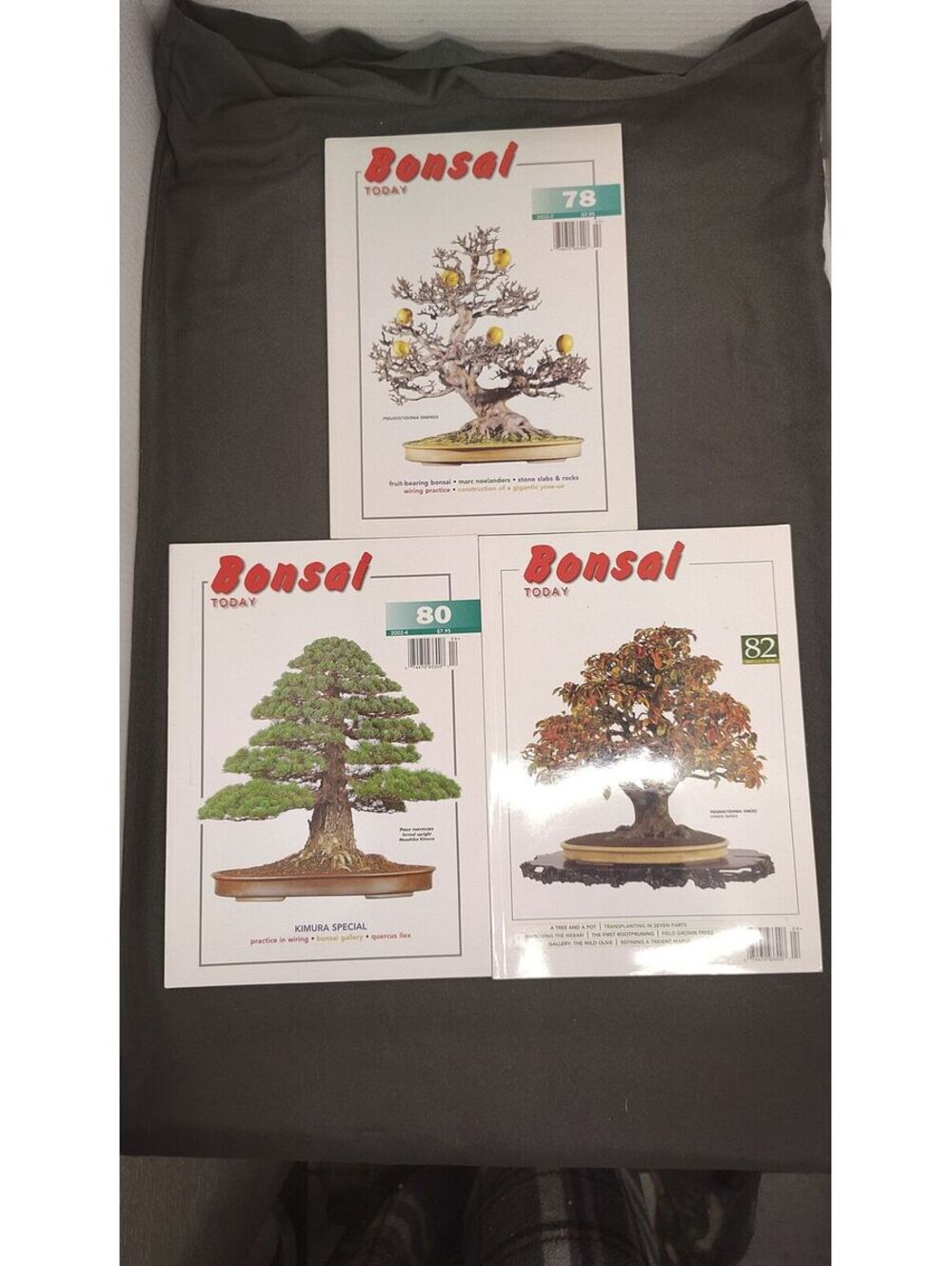 Bonsai Today Magazine Lot Issues 78 80 82 Vintage 2002 Bonsai Trees Growing
